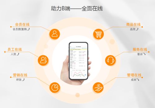 生鮮電商虧損潮中，點(diǎn)DMall為何能逆勢(shì)融資28億？